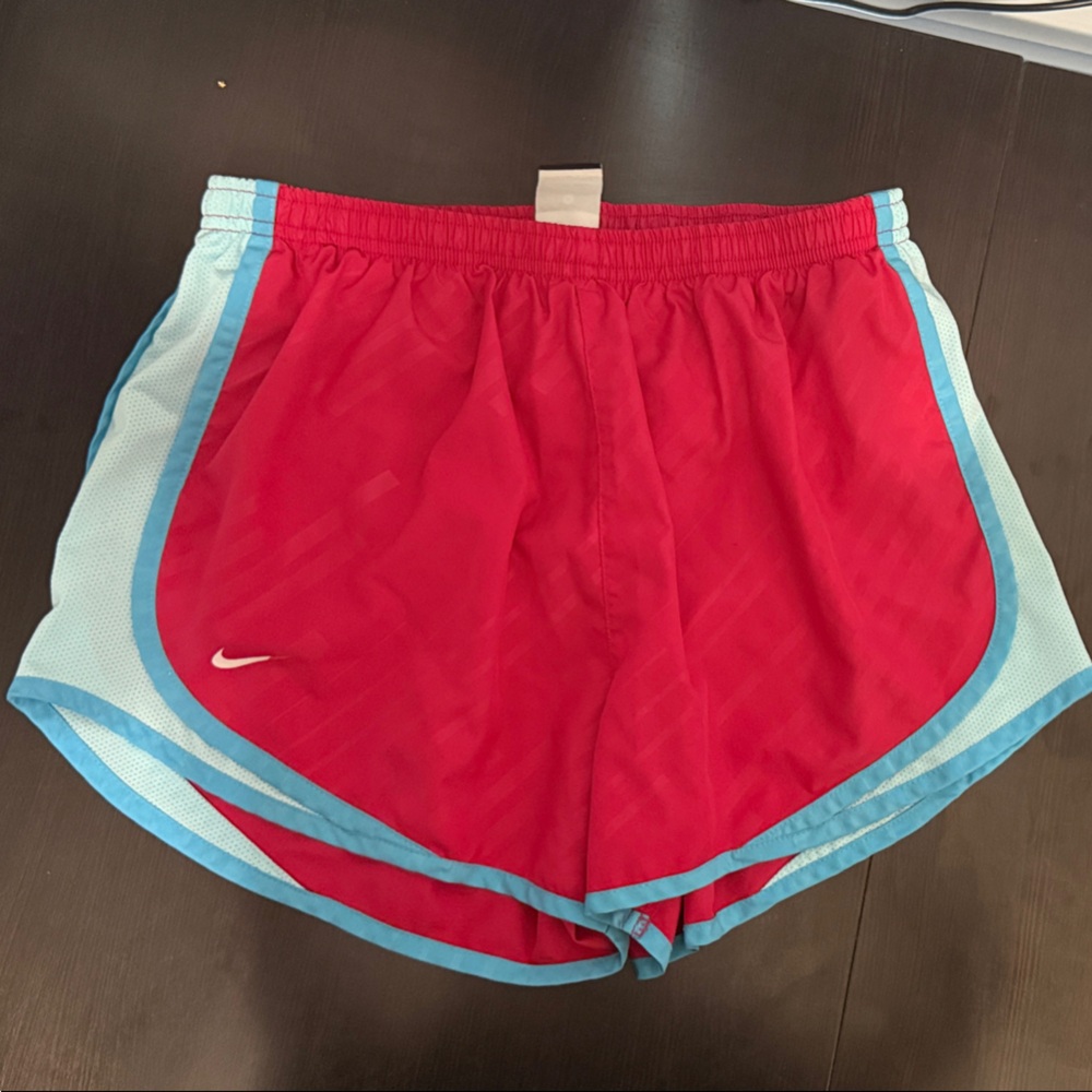 Nike Pink and Light Blue Running Shorts